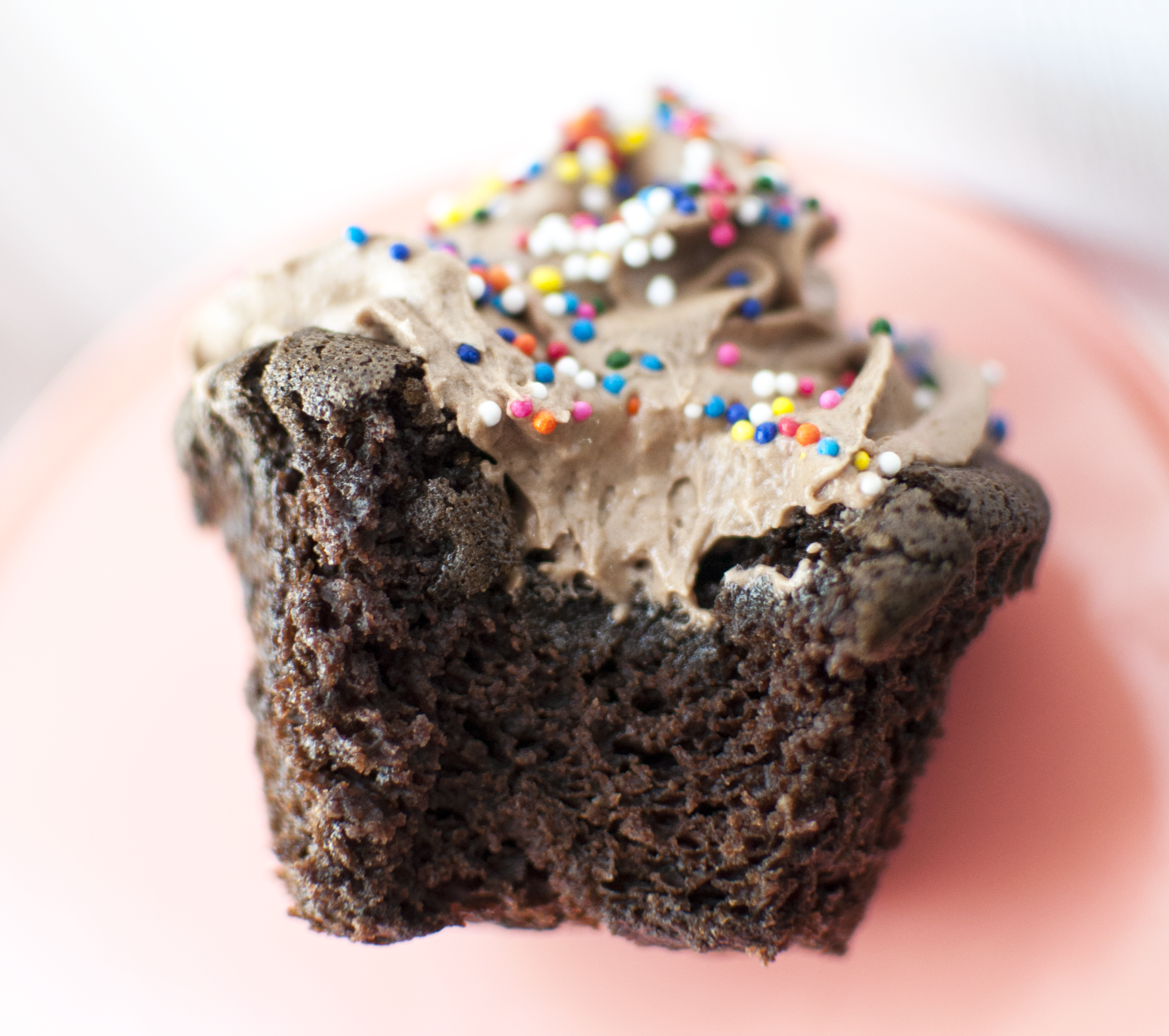choccupcakebite